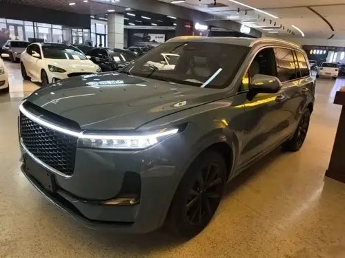 Li Auto ONE, 2021