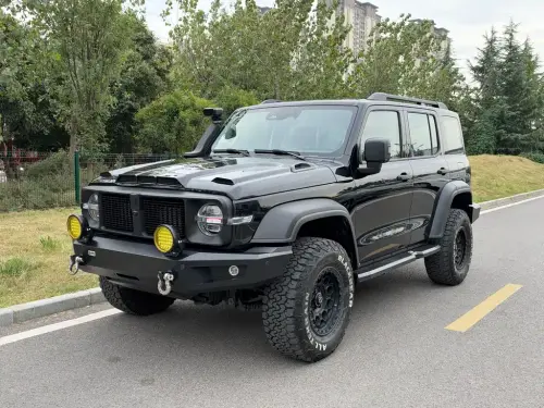 Tank 300, 2024