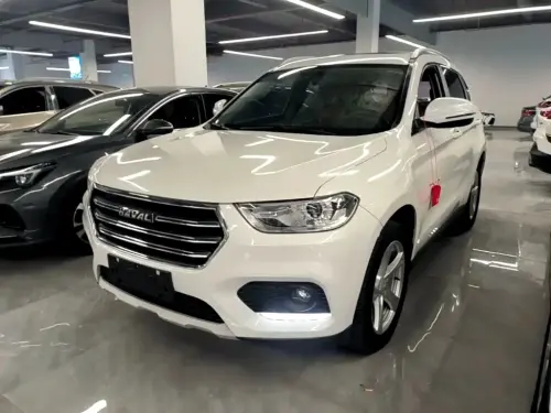 Haval H2, 2020