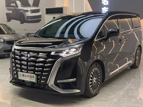 Denza D9, 2024