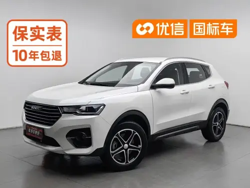 Haval H4, 2020