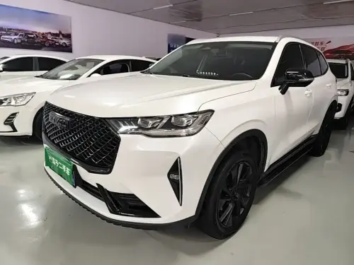 Haval H6, 2021