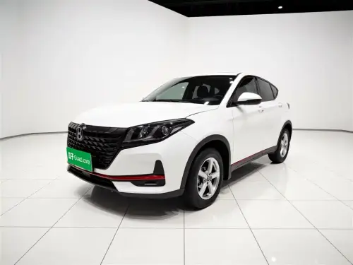 Dongfeng Fengguang 500, 2021
