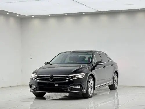 Volkswagen Magotan, 2024