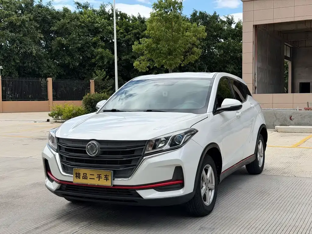 Dongfeng Fengguang 500, 2021