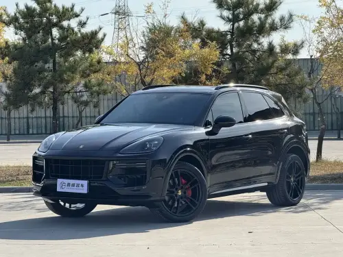 Porsche Cayenne, 2020