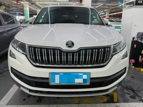 Skoda Kodiaq, 2020
