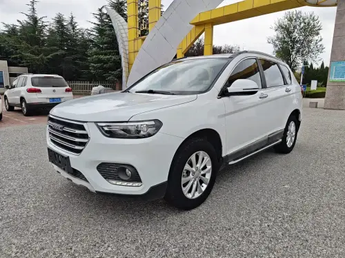 Haval H6, 2020