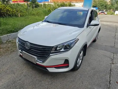 Dongfeng Fengguang 500, 2021
