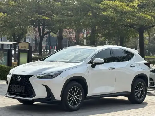 Lexus NX, 2022
