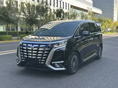 Denza D9, 2024