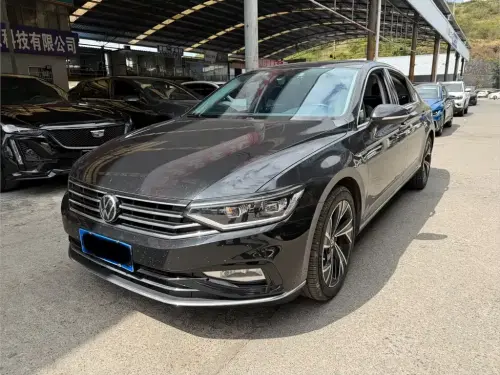 Volkswagen Magotan, 2021