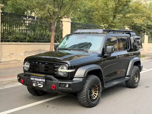 Tank 300, 2021