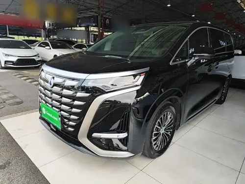 Denza D9, 2024