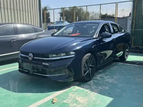 Volkswagen Magotan, 2024