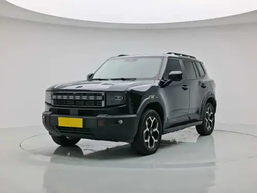 Jetour Shanhai T1, 2024
