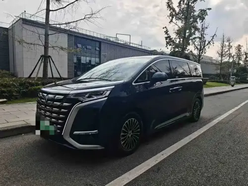 Denza D9, 2024