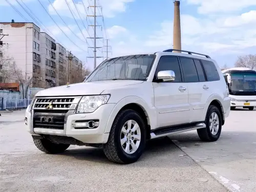 Mitsubishi Pajero, 2020
