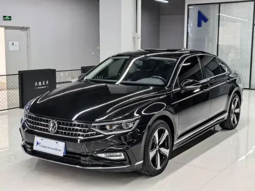 Volkswagen Magotan, 2024