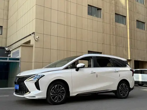 Dongfeng Youth, 2023