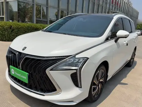 Dongfeng Youth, 2022