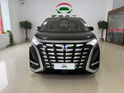Denza D9, 2025