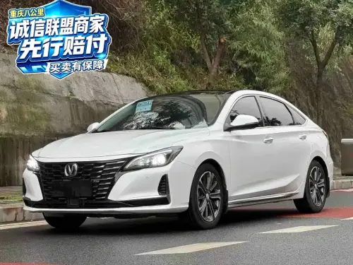 Changan Ruicheng CC, 2022