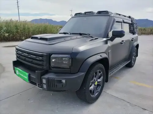 Jetour Traveler, 2024