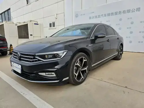 Volkswagen Magotan, 2024