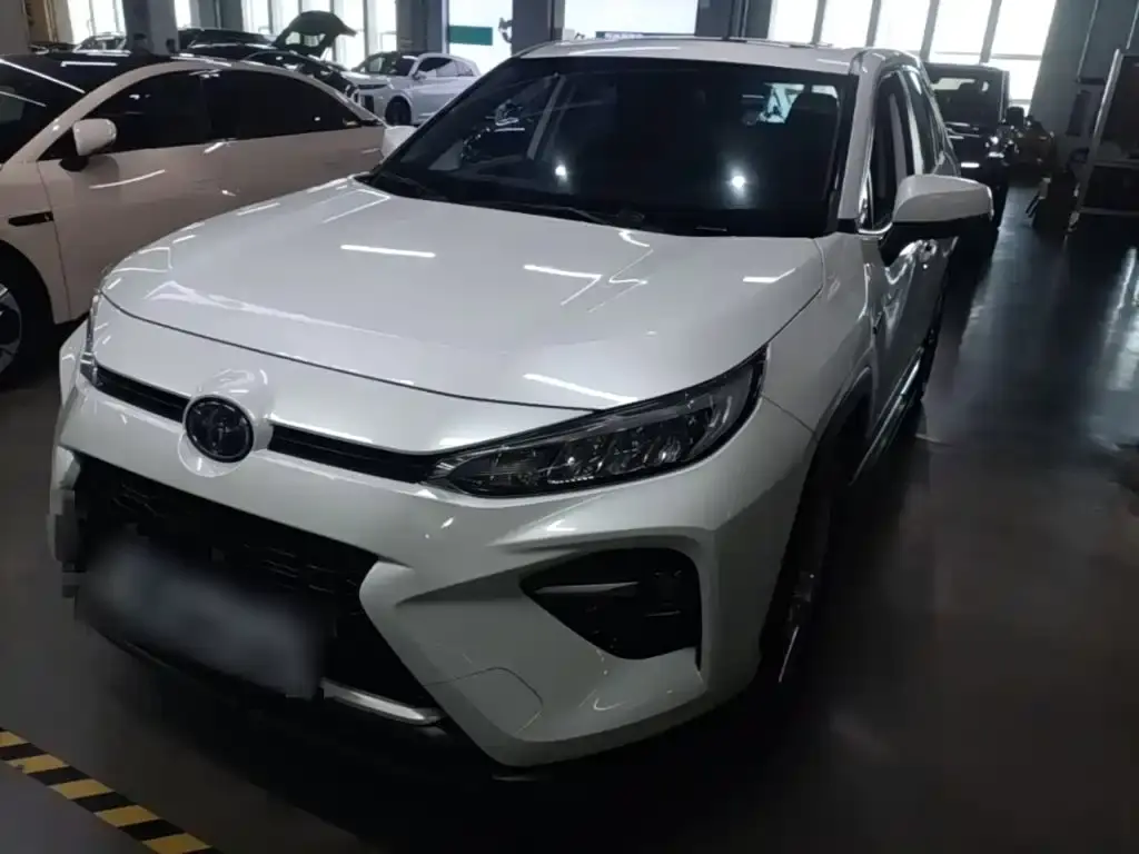 Toyota Wildlander, 2020