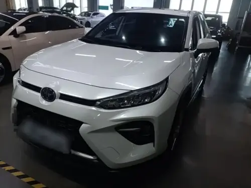 Toyota Wildlander, 2020