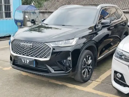 Haval H6, 2020