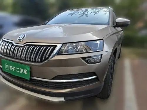Skoda Karoq, 2021