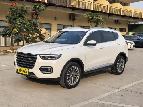 Haval H6, 2020