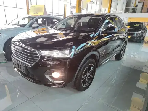 Haval H4, 2020