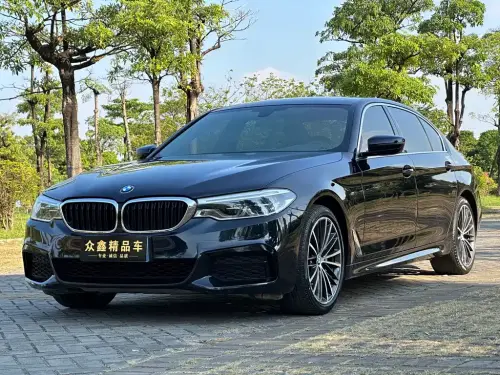 BMW 5-Series, 2020