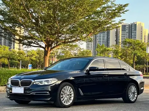 BMW 5-Series, 2020