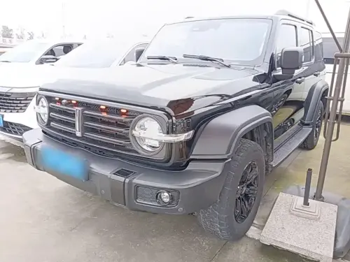Tank 300, 2021