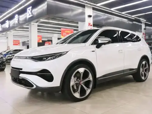 Denza X, 2021