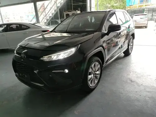 Toyota Wildlander, 2021
