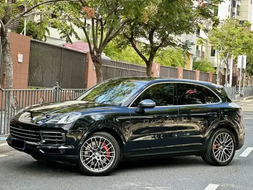 Porsche Cayenne, 2020