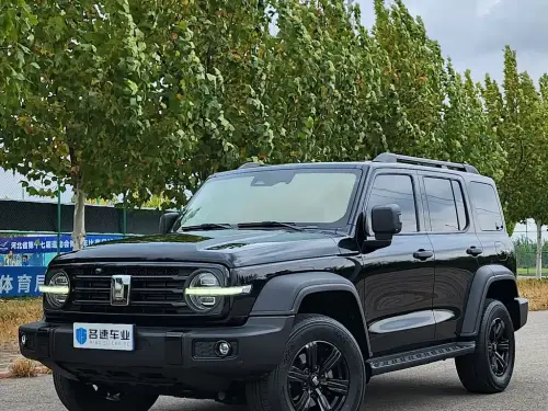 Tank 300, 2021