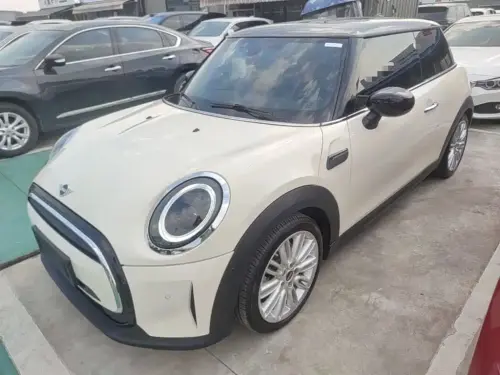 Mini MINI, 2022