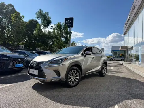 Lexus NX, 2019