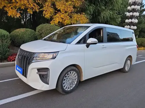BAW Ruisheng Ace M7, 2024