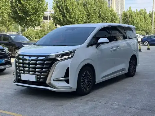 Denza D9, 2024