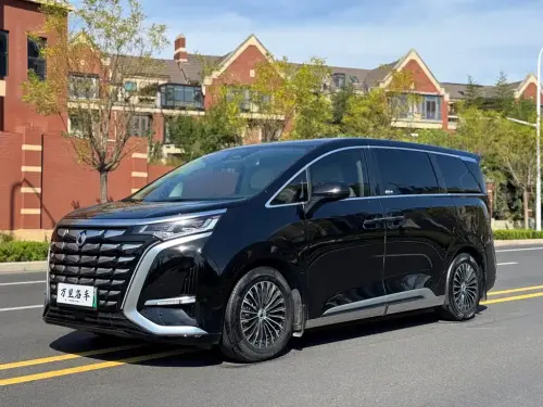 Denza D9, 2024