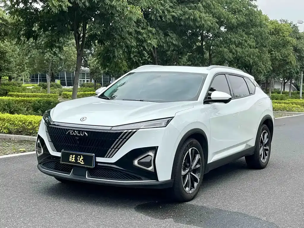 Dongfeng Haohan, 2024