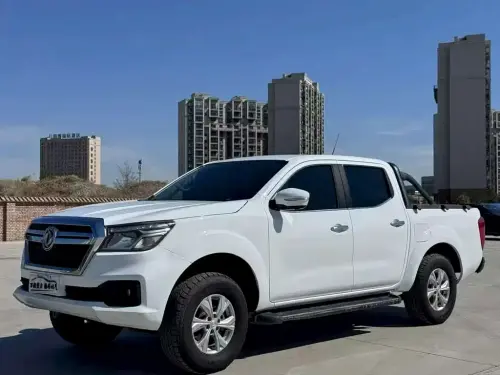Dongfeng Rich 6, 2020