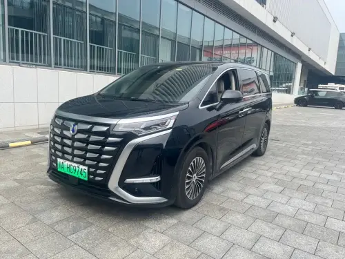 Denza D9, 2024
